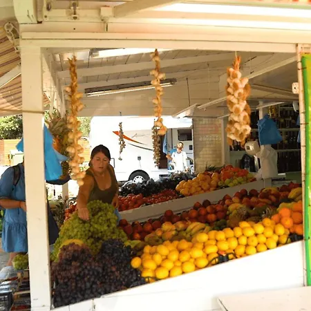 Easyatent Safari Tent Polari Üdülőpark